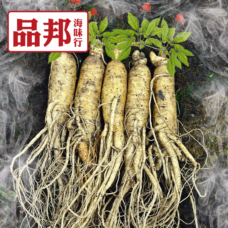 2018鲜人参白参新下山各种型号鲜参煲汤养生佳品滋补送礼好品