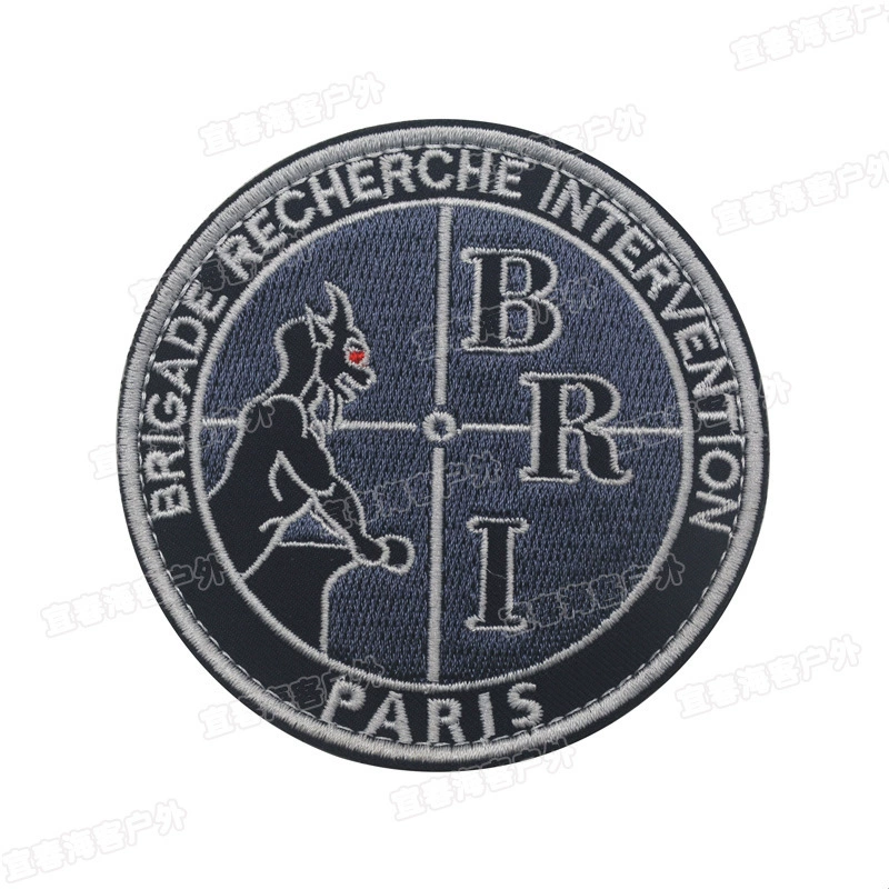 France CSI ADS badge CDSF embroidered Velcro armband GIGN morale patch GIPN tactical