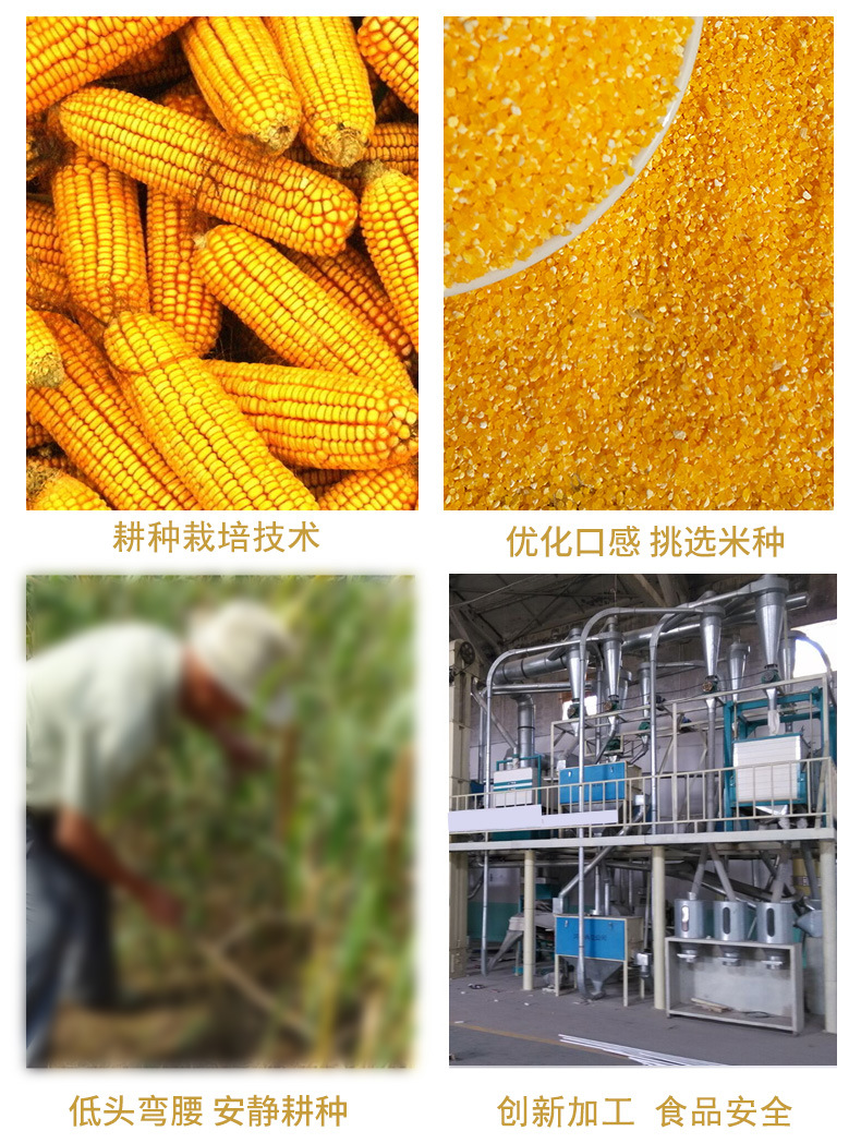 新乡市玉米糁厂,河南最大的玉米加工厂,河南新乡玉米糁厂家(第2页)_大山谷图库