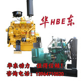 Сельскохозяйственный механизм дизельный двигатель фиксированная мощность двигатель внутреннего сгорания ZH4102G Электрический старт