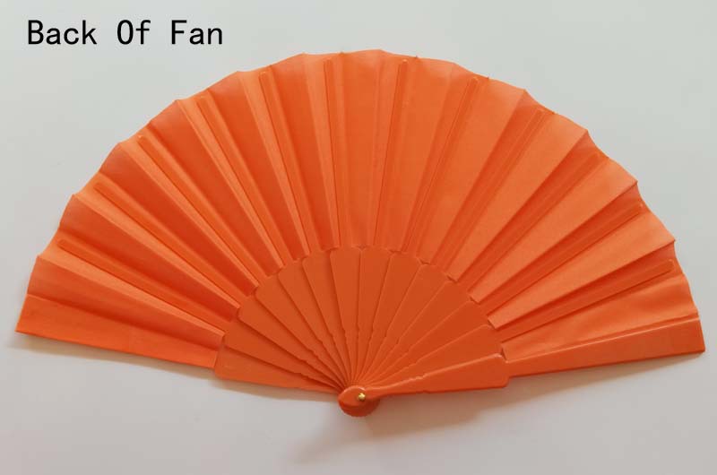 Back of Fan