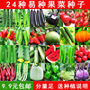 Vegetable seeds, four seasons of melon fruit, cucumber oko tomato eggplant eggplant pepper, seed seed balcony radish bean horn