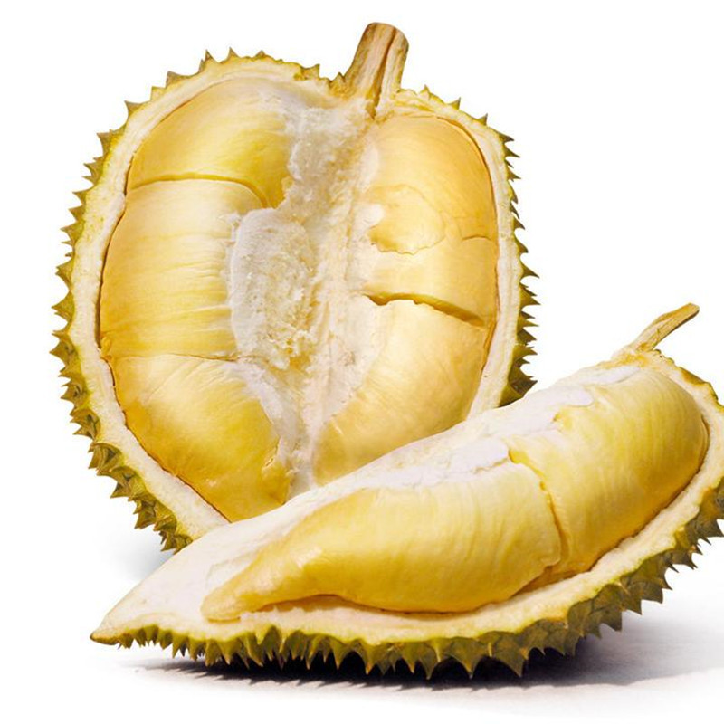 泰国金枕头榴莲 进口新鲜水果 现摘带壳榴莲软糯香甜非猫山榴莲|ru