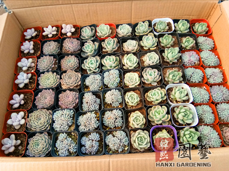 微信图片_20180130111557