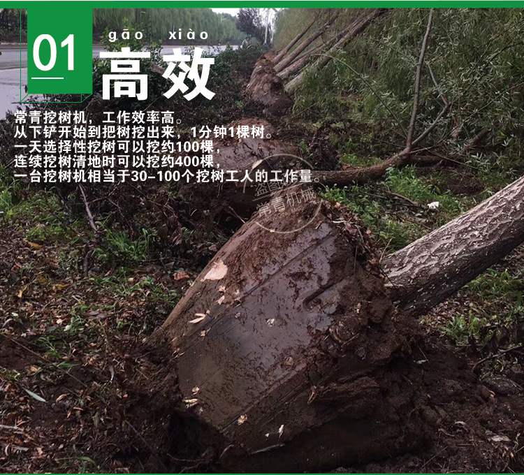 挖樹(shù)機(jī)_03