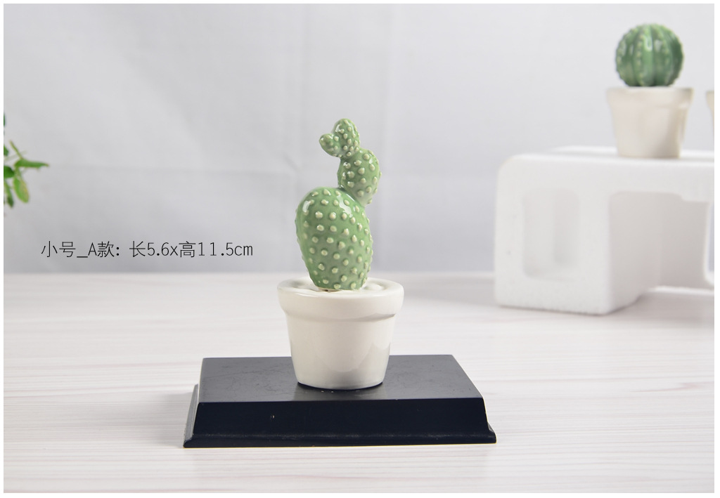 仙人掌07展示18.jpg