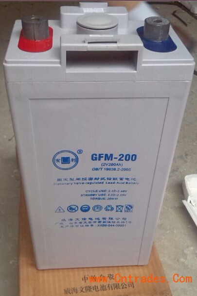有利免维护蓄电池GFM-200 2V-200AH UPS/EPS/直流屏质保二年