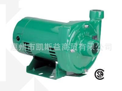 美国MYERS  CT05  CT053 /CT07 CT073离心泵