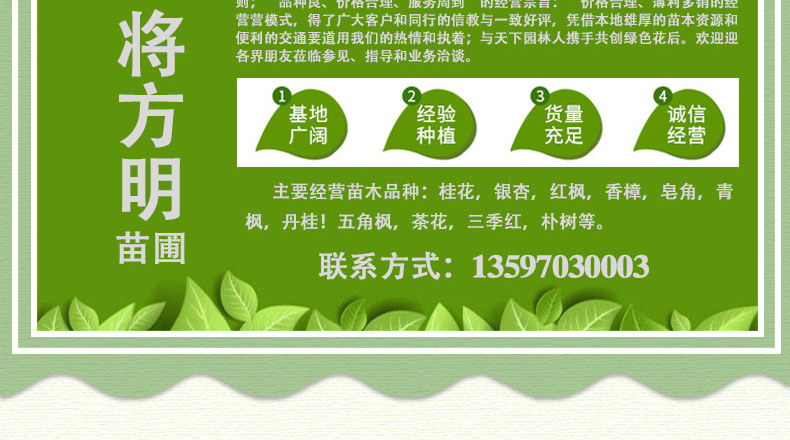 详情页_07.jpg