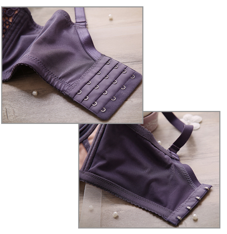 New Women's Bra Set Embroidered, Steel Ring Free, Thick, Sexy and Adjustable Underwear_voghion.com