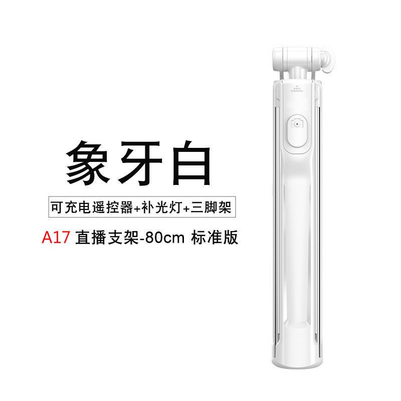 Bâton selfie en ABS - Ref 3386141 Image 18