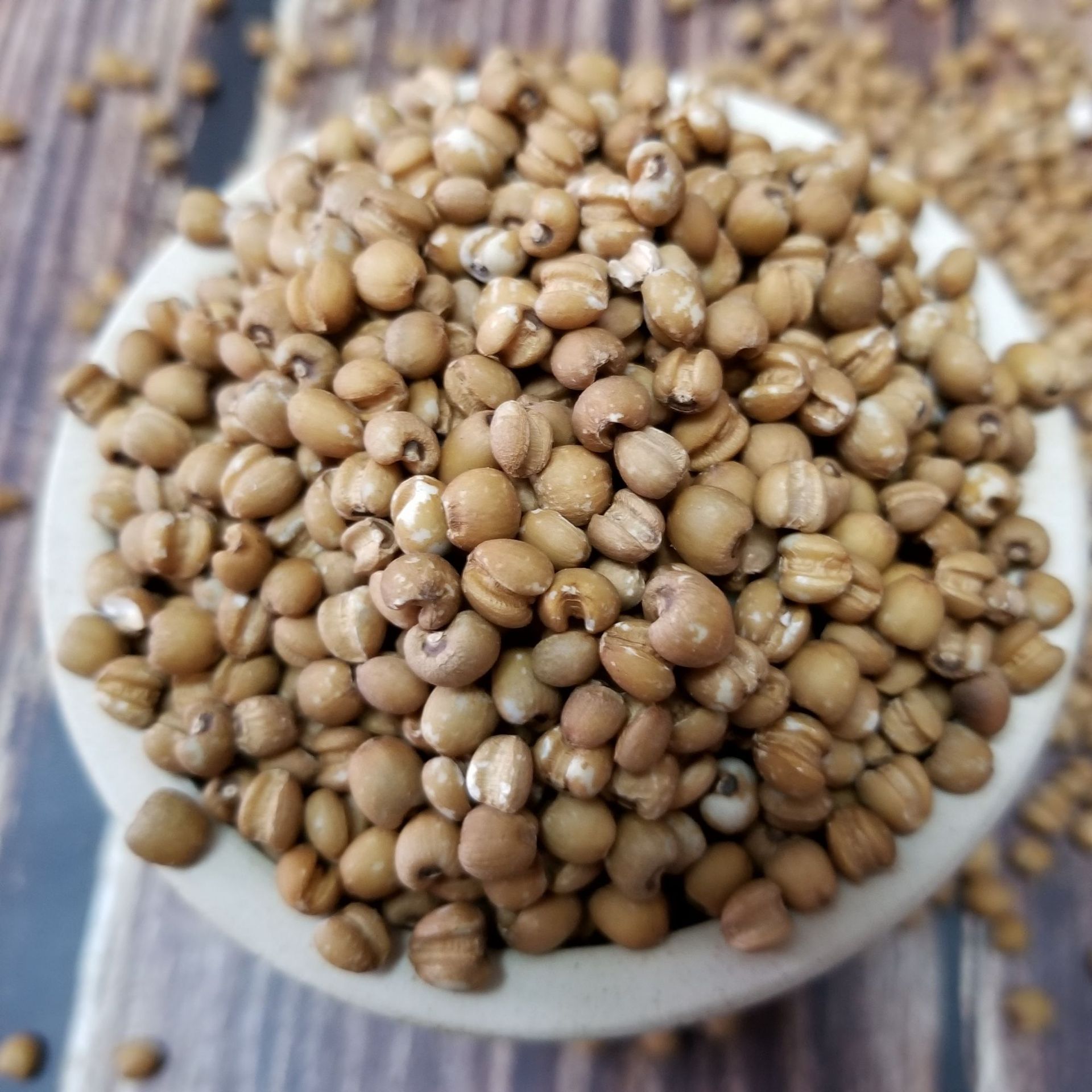 红薏仁,效,薏仁米_大山谷图库