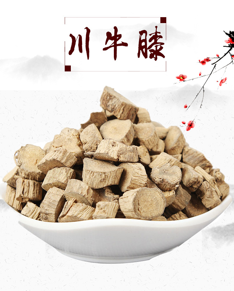 Chuan Niu Xi Segments (Cyathula officinalis) — Dried Medicinal Herb Root, 500g overview