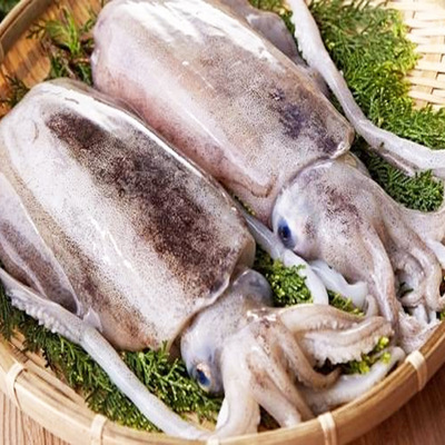 产地货源野生墨鱼冷冻乌贼鲜活新鲜墨鱼仔水产冻品海鲜批发墨鱼干