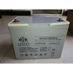 双登 蓄电池 6-GFM-65 12v65ah 阀控式封闭 型 免维护 铅酸蓄电池