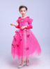 Autumn dress for princess, skirt, small princess costume, children's suit, long sleeve, tulle