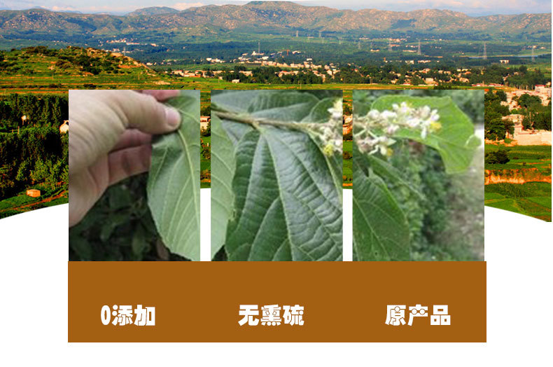 Bu Zha Ye (Microcos paniculata) — Dried Food Herb Leaves for Tea & Soup quality and texture