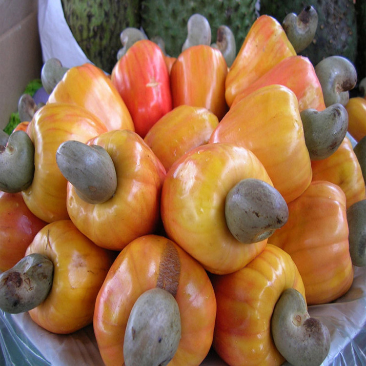 微信图片_201807031533561