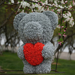 Моделирование вечная жизнь сухие цветы пучок единорог обнимать любовь медвежонок 520 день святого валентина роуз Медведь день рождения подарок оптовая торговля
