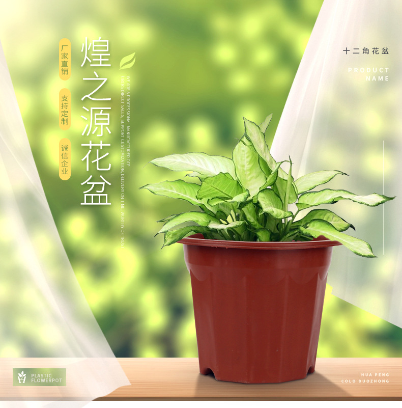 19-十二角花盆_02.jpg