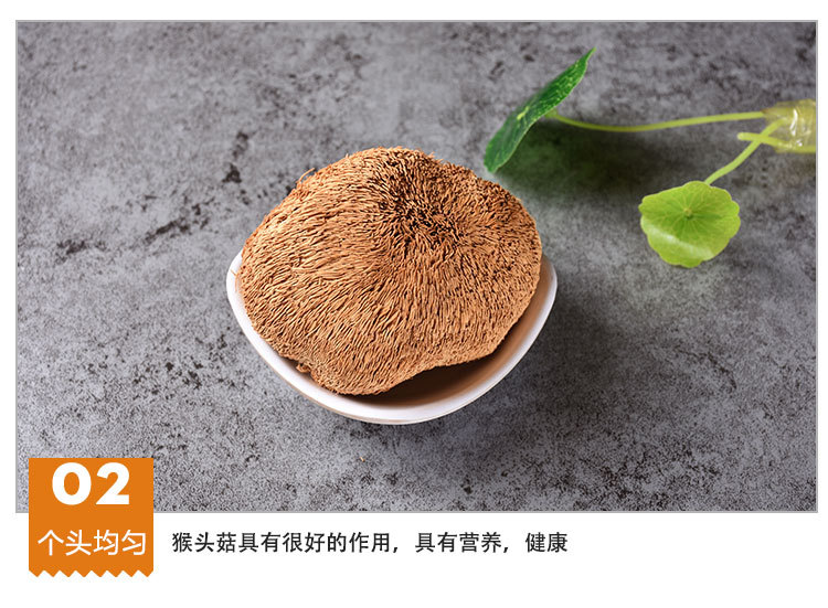 Hou Tou Gu Dried Mushroom (Hericium erinaceus) — Gutian Lion's Mane Food Herb 500g quality and texture
