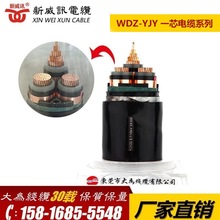 ӍS|͟ou~о| WDZ-YJY-1*70 һо|