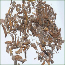 ���l��ș�� ʯ���� ʯ�ϙ� �p�~����