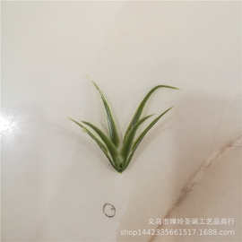 仿真植物塑料水草 4厘米小花围 仿真薰衣草装饰小草 工艺品花草