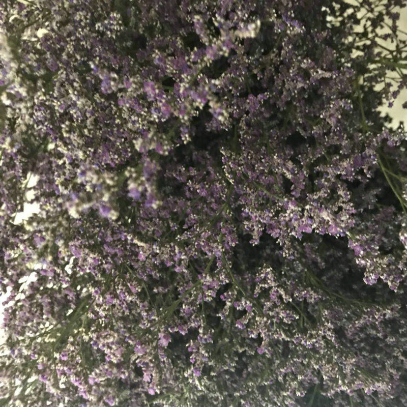 Fábrica al por mayor decoración del hogar amante hierba flor seca ramo fotografía apoyos transfronterizos flor seca suministro