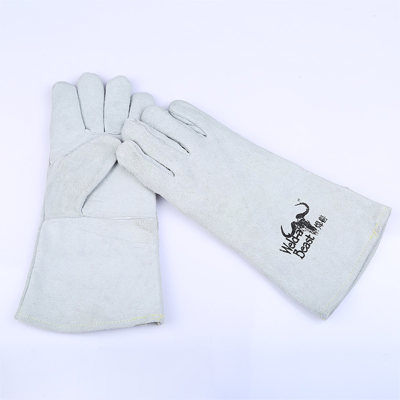 3859176669_661303599