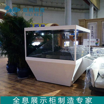厂家定制全息投影设备 幻影成像设备  全息影像制作全息展柜出售|ms