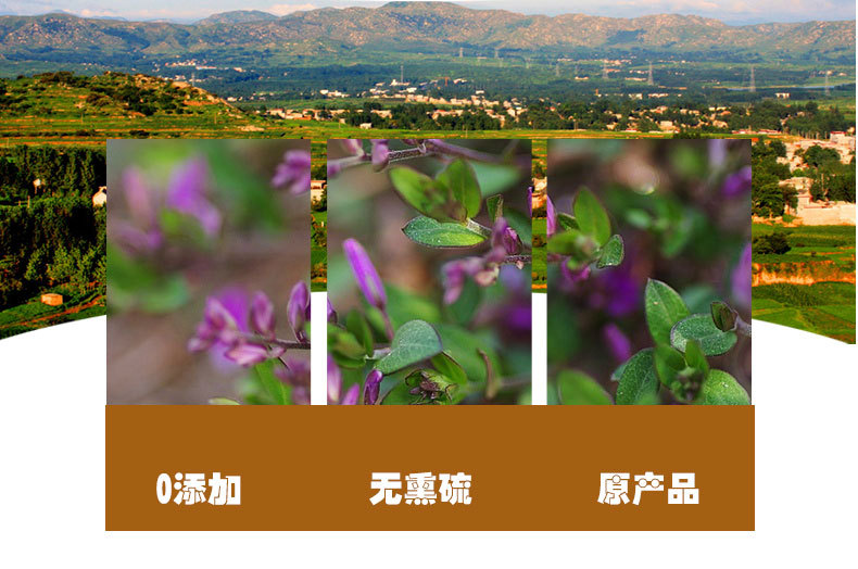 Gua Zi Jin (Polygala japonica) — Dried Whole Herb, Sulfur-Free, 500g Bulk quality and texture