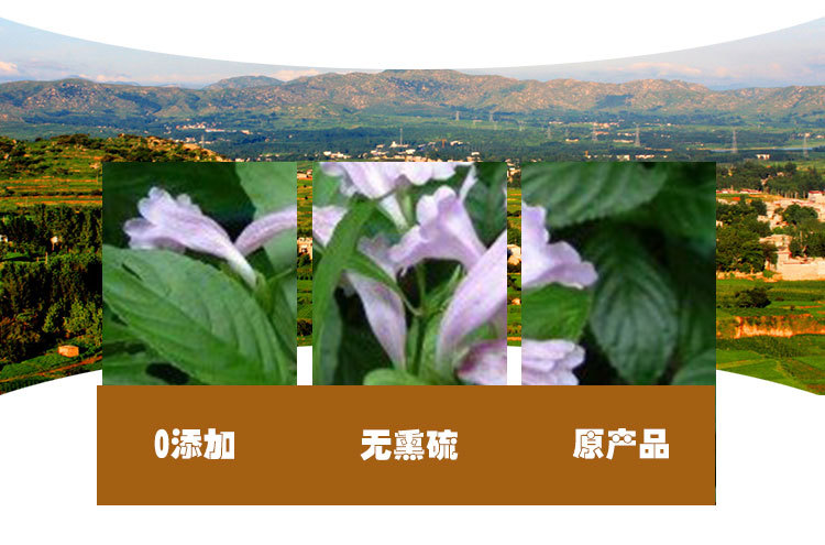 Nan Ban Lan Gen (Baphicacanthus cusia) — Dried Southern Isatis Root, Sulfur-Free, 500g quality and texture