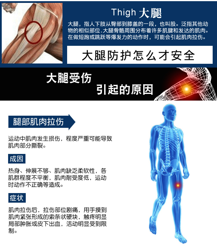护大腿详情_03.jpg