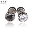 Zirconium stainless steel, earrings, accessory