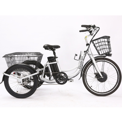 厂家直销新款锂电池电动三轮车 代步车接送孩子 铝合金电动车