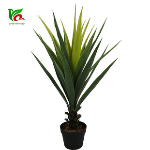 �G������m���~����ֲ���҃��b�������Լ�ֲ������Է��愦�m��