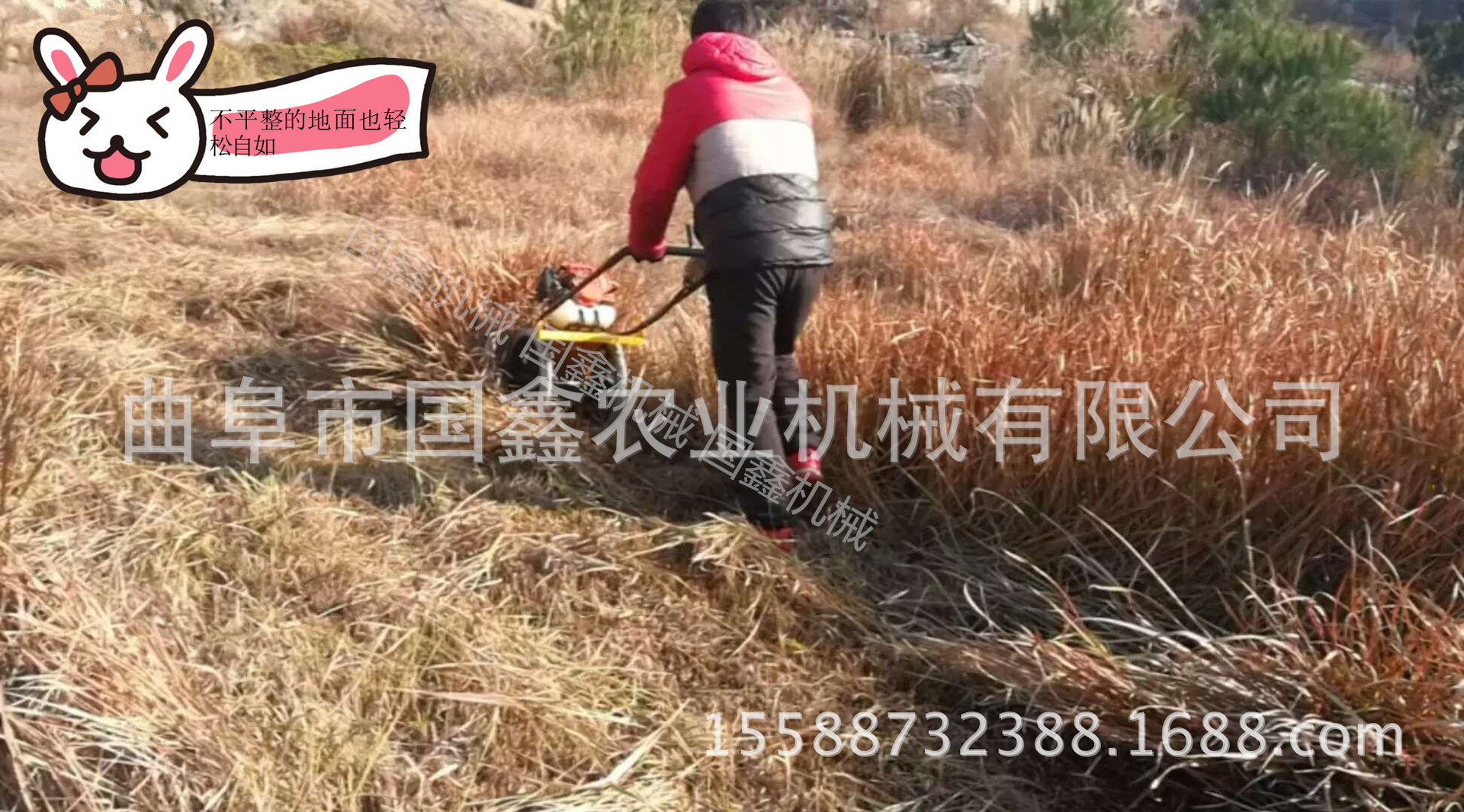 衡水轻便式辣椒收获机