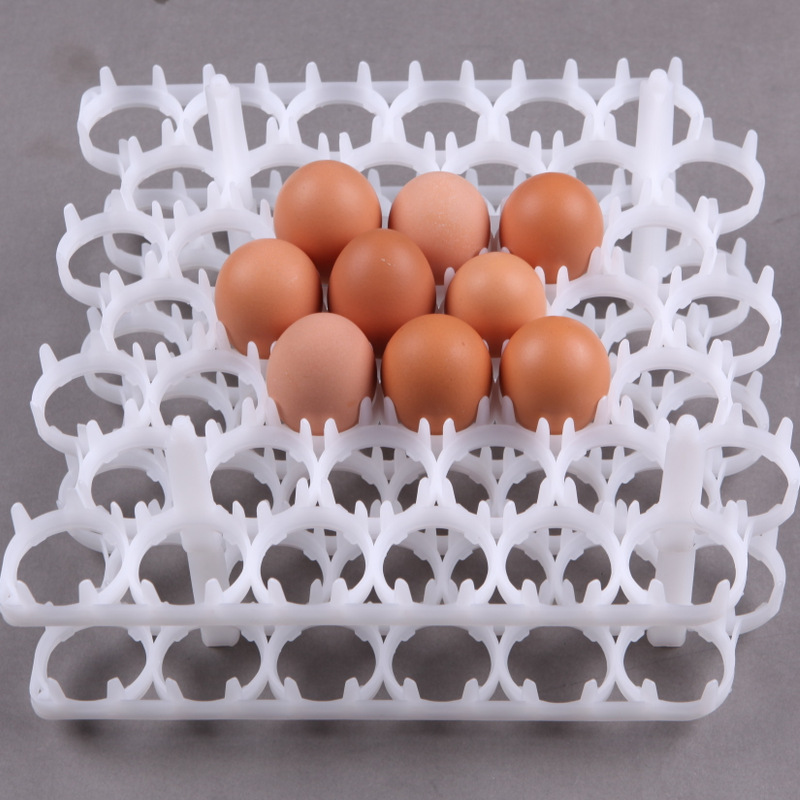 42枚种蛋蛋托 塑料种蛋托 依爱孵化机配套孵化蛋托