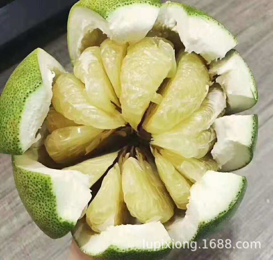批发泰国青柚 16千克一件 顺牌小象牌翔牌 蜜柚 常年供货热带水果-阿里巴巴