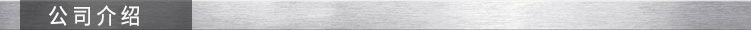 公司介绍