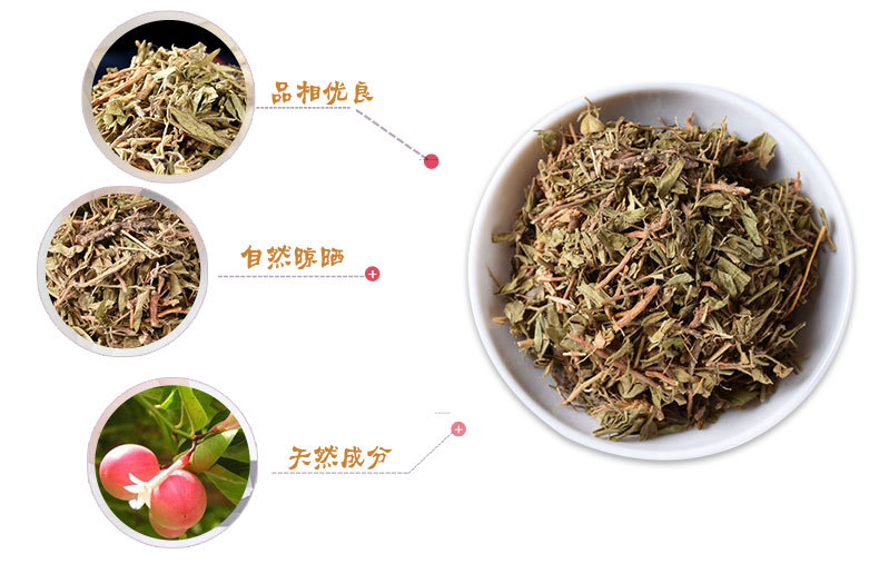 Gua Zi Jin (Polygala japonica) — Dried Whole Herb, Sulfur-Free, 500g Bulk key features