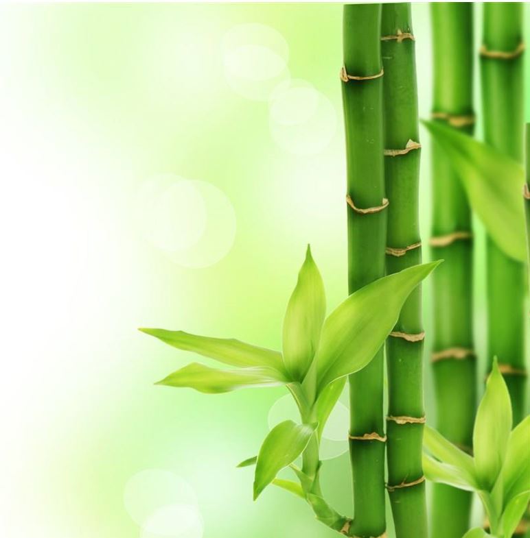 Female Joy Dragon Gate Factory wholesale toothpicks 1.3/1.6/2.0 bamboo disposable toothpicks Bamboo toothpicks bulk toothpicks pic 11