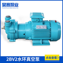 水环式真空泵 2BV2 厂家现货供应耐磨 水环真空泵