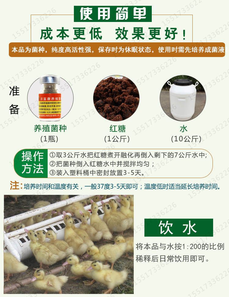 益生菌养鹅技术用法用量