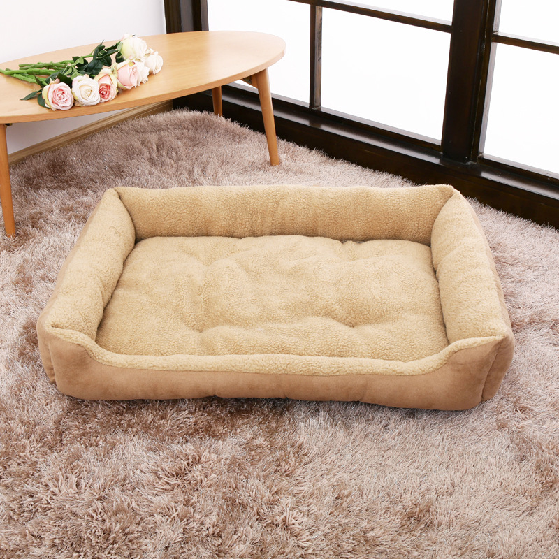 Explosion of dog nest Cat's nest Four Seasons General West Teddy…