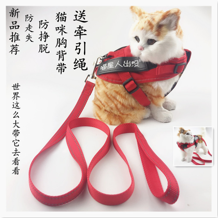 猫咪牵引绳防挣脱专用溜猫绳栓猫遛猫背心式背带项圈小猫绳子猫链
