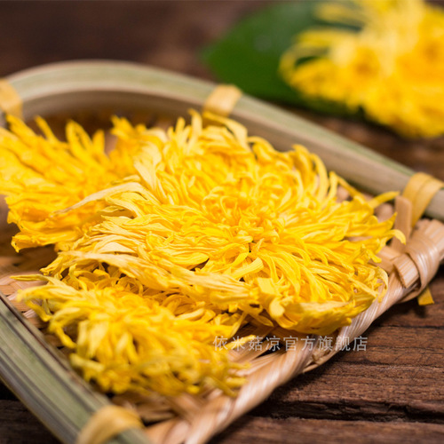 A single Huangshan Golden Silk Chrysanthemum in a cup, wholesale large chrysanthemum tea, one flower per brew, bagged Golden Silk Chrysanthemum.