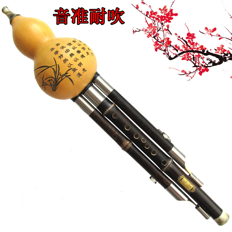 紫竹葫芦丝精制演奏小学生成人演奏初学FG降BC小D调订制批发乐器|ms