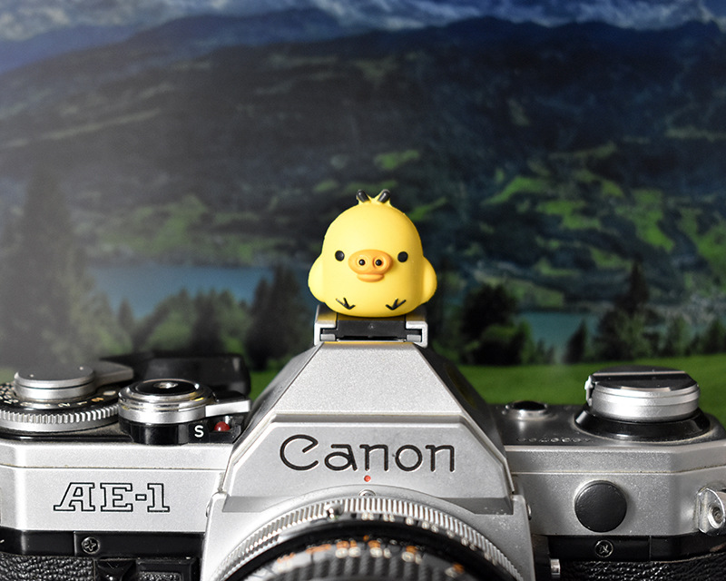 猪小鸡热靴盖 (11).JPG